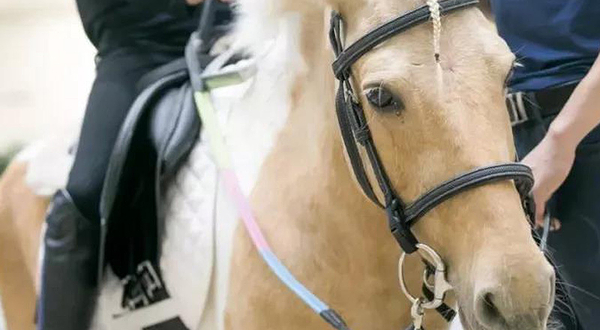 润旺马术俱乐部