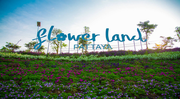 Flower Land Pattaya 芭提雅花卉公园