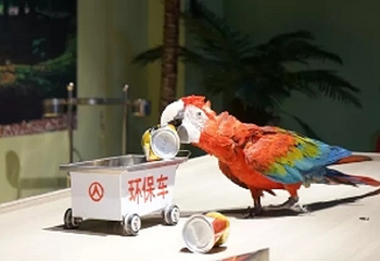 奇趣动物王国第 2 张图片