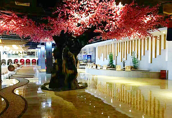 汗蒸时代广场第 34 张图片