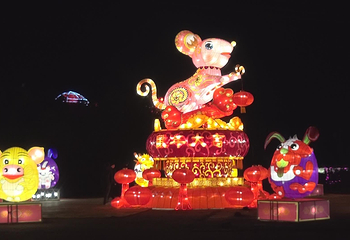 贵州黔西首届“水西之春”迎春灯展第 4 张图片