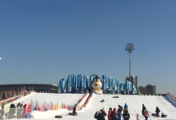 沈阳奥体冰雪嘉年华第 18 张图片