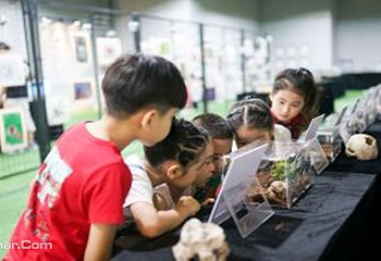 佛山近自然生态昆虫展第 1 张图片