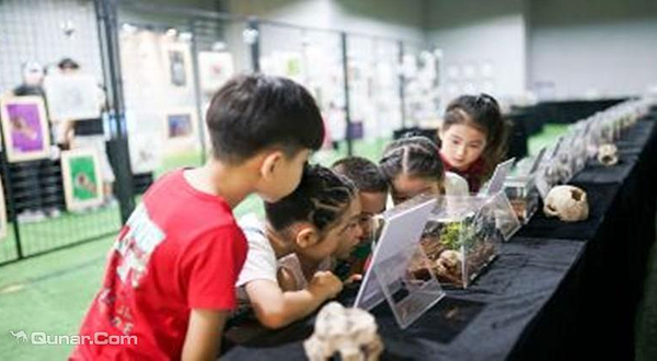 佛山近自然生态昆虫展