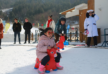 紫柏山国际滑雪场第 25 张图片