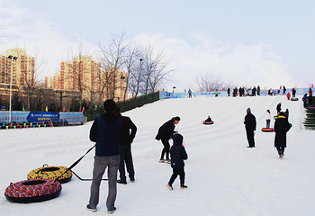 北京萌宠冰雪嘉年华第 4 张图片