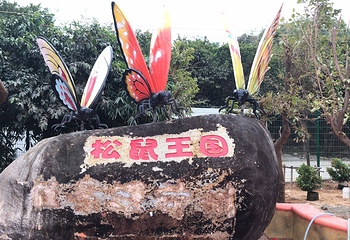阳江福兴松鼠王国乐园第 6 张图片