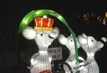 贵州黔西首届“水西之春”迎春灯展第 8 张图片