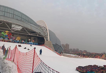 沈阳奥体冰雪嘉年华第 39 张图片