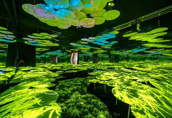 珠海巡光光影艺术空间馆第 2 张图片