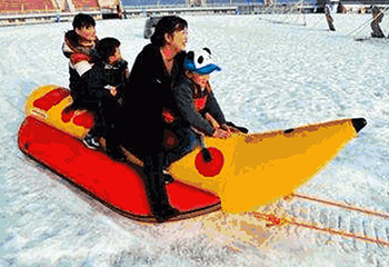 2020北京大兴采育镇冰雪嘉年华第 23 张图片