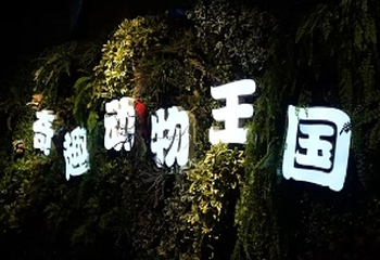 奇趣动物王国第 1 张图片