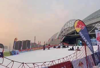 沈阳奥体冰雪嘉年华第 28 张图片