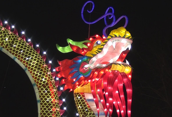 贵州黔西首届“水西之春”迎春灯展第 19 张图片