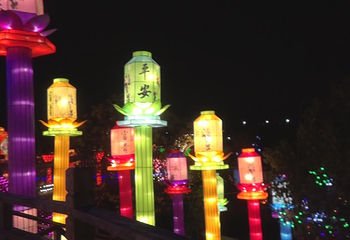 贵州黔西首届“水西之春”迎春灯展第 26 张图片