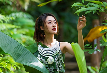 海南百花岭热带雨林文化旅游区第 22 张图片