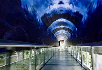 海南百花岭热带雨林文化旅游区第 21 张图片
