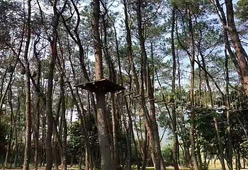 楠溪江航空飞行营地第 2 张图片