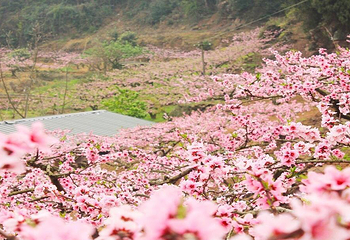 千峡湖生态旅游度假区第 24 张图片