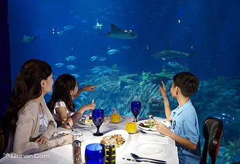 香港海洋公园第 44 张图片