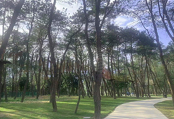 楠溪江航空飞行营地第 75 张图片
