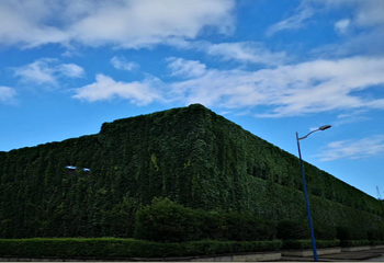 沱牌舍得文化旅游区第 12 张图片