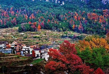 千峡湖生态旅游度假区第 34 张图片