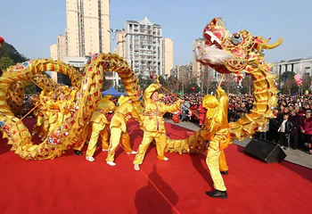 2020第三届民间文化艺术节华辰庙会第 1 张图片