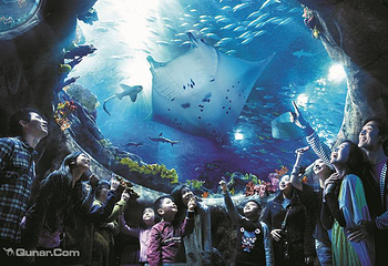 香港海洋公园第 14 张图片