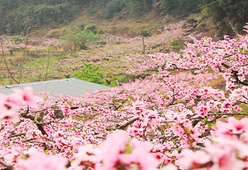 千峡湖生态旅游度假区第 15 张图片