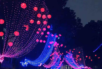 中国秦淮灯会主会场(白鹭洲公园)第 15 张图片