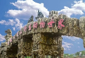 大青山野生动物世界第 8 张图片