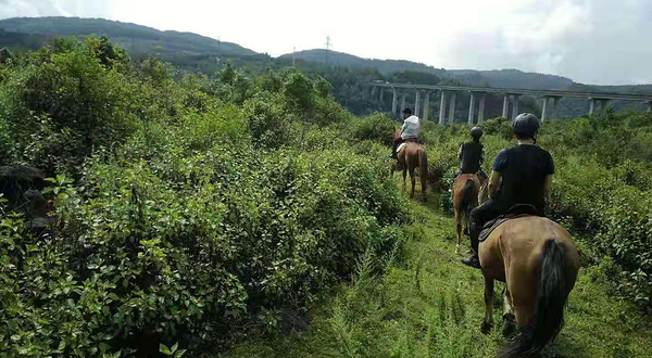 腾冲和顺忆茉云腾马会