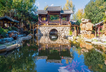 大理苍山植物园第 29 张图片
