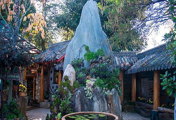 大理苍山植物园第 8 张图片