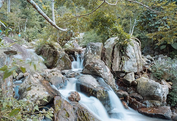 海南百花岭热带雨林文化旅游区第 7 张图片