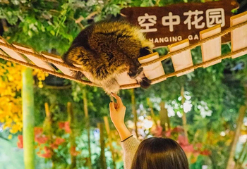 福州侏罗纪萌宠园第 6 张图片