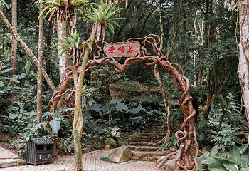 海南百花岭热带雨林文化旅游区第 5 张图片