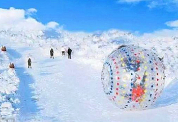 北京2020第二届稻香花海新春灯会暨冰雪嘉年华第 19 张图片