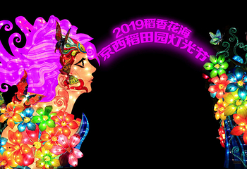 北京2020第二届稻香花海新春灯会暨冰雪嘉年华第 9 张图片