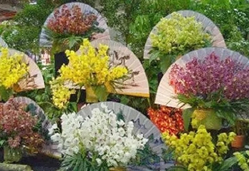 花开盛世·大美合肥春节牡丹花展第 1 张图片