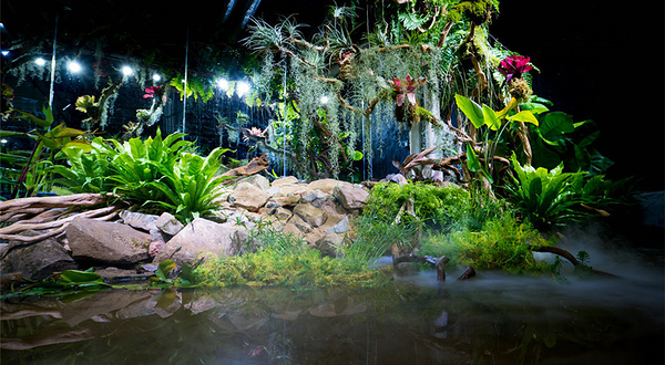 Hello动物星球雨林乐园