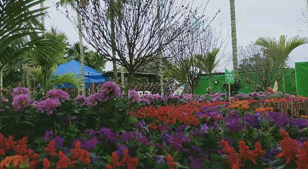 琼海龙寿洋蝴蝶谷（蝶恋花主题乐园）