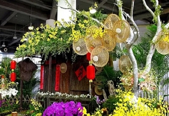 花开盛世·大美合肥春节牡丹花展第 5 张图片