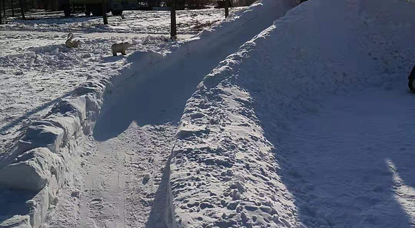 大象鹭岛冰雪乐园
