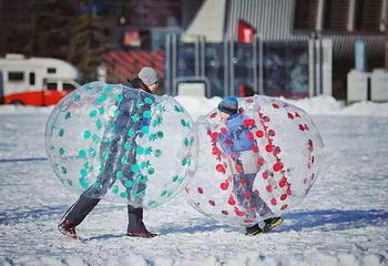 天津民园冰雪嘉年华第 4 张图片