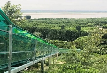 孤柏渡黄河塬休闲旅游区第 18 张图片