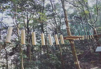 楠溪江航空飞行营地第 70 张图片