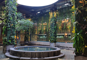 盛京文旅七星海世界第 7 张图片