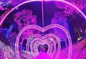 北京2020第二届稻香花海新春灯会暨冰雪嘉年华第 14 张图片